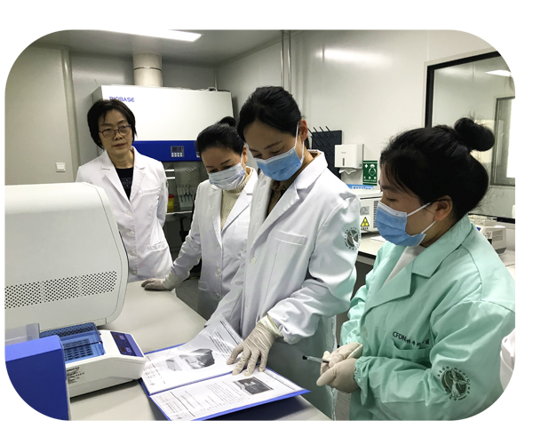 1608798088804035.jpg 未标题-1115.jpg